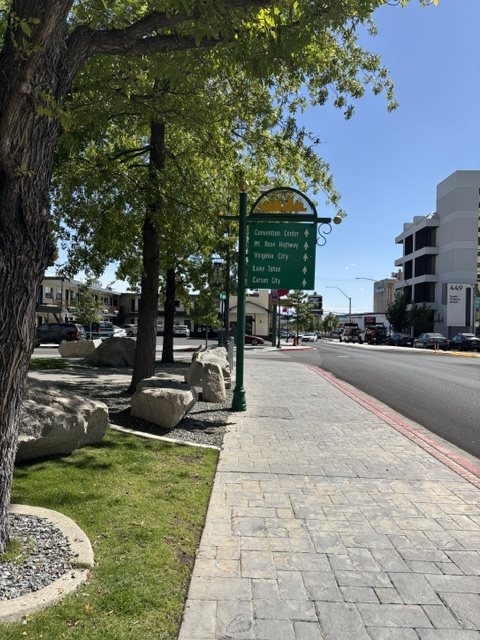 Tree-lined sidewalk outside the courthouse on South Virginia Street in Reno, with a green wayfinding sign